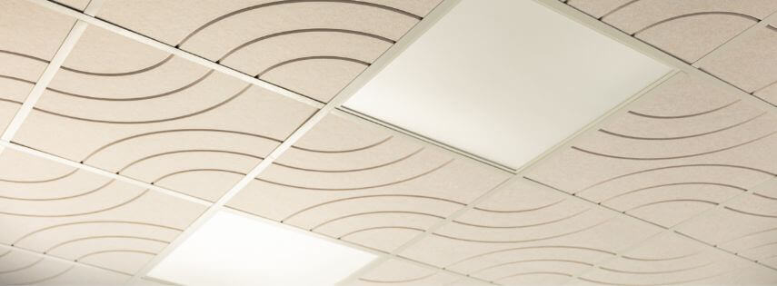 Acoustic Ceilings